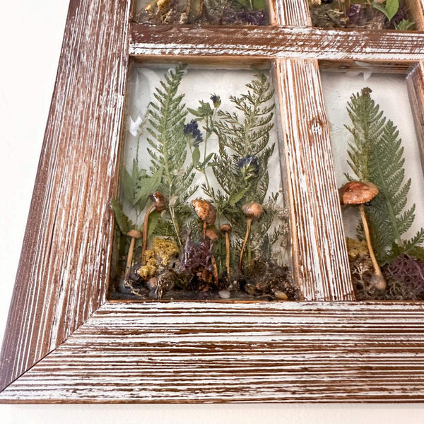 boreal forest window art in a distressed whitewashed wood frame with clear resin panes, mushrooms, ferns, moss and lichen