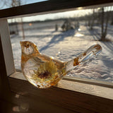 Gold leaf resin bird lit from behind on a wooden rail at golden hour