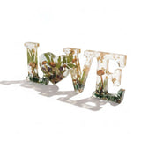 Boreal Mushroom LOVE word art with real mushrooms, ferns, moss, and gold leaf in clear resin decor