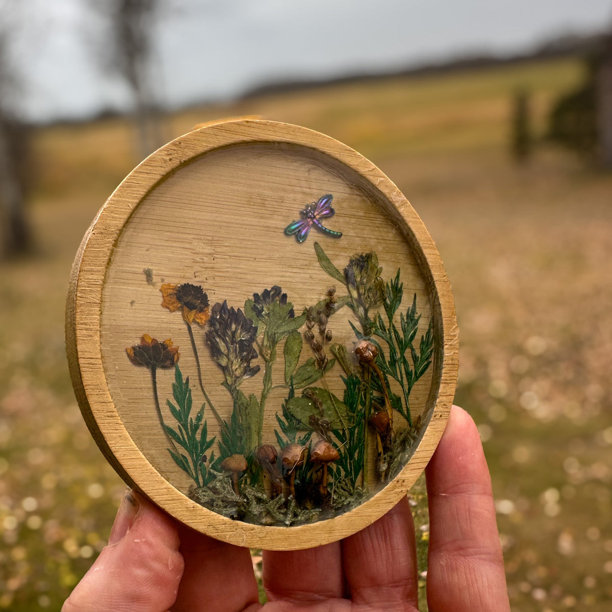 Mushroom trinket dish with a round natural wood rim, clear resin, raised mushrooms, dried botanicals and dragonfly charm