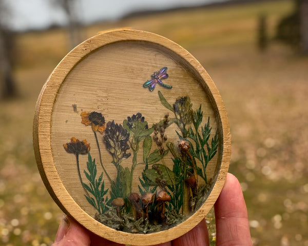 Mushroom trinket dish with a round natural wood rim, clear resin, raised mushrooms, dried botanicals and dragonfly charm