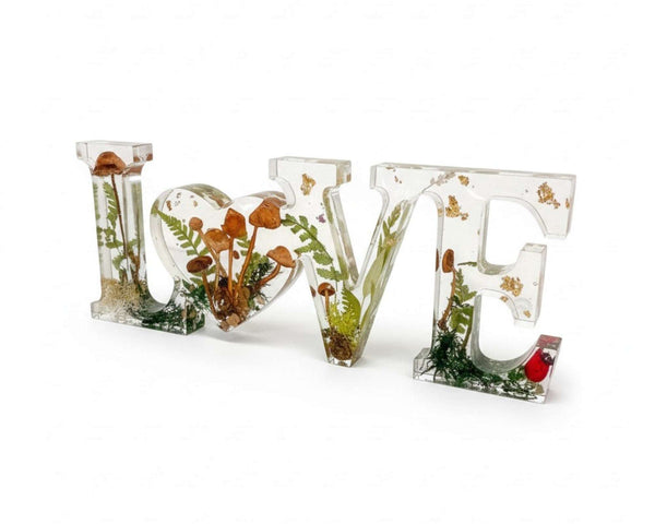Wildwood Love Handmade Word Decor with real Forest Mushrooms and Ferns