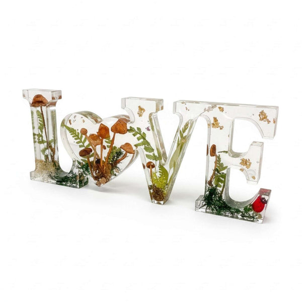 Wildwood Love Handmade Word Decor with real Forest Mushrooms and Ferns