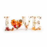 Wildflower LOVE word art with real pressed flowers and ladybug in clear resin letters for home decor