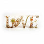 Resin mushroom decor spelling LOVE in clear resin, with dried mushrooms, ferns, moss, gold flecks and butterfly charm