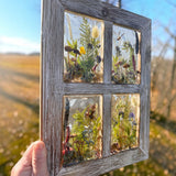 Pressed flower window art in a weathered gray wood frame, with four clear resin panes of colorful dried botanicals and a dragonfly
