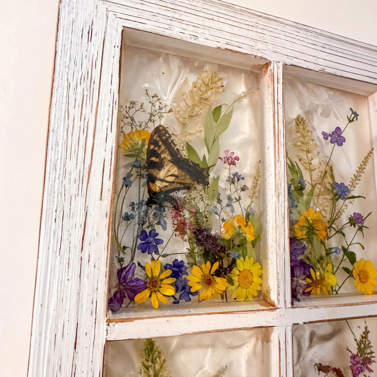 Holographic backing shifting colour behind the petals of the pressed flower window art