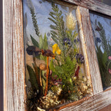 pressed flower window art in a weathered whitewashed wood frame, with clear panes layered with colorful dried flowers and greenery