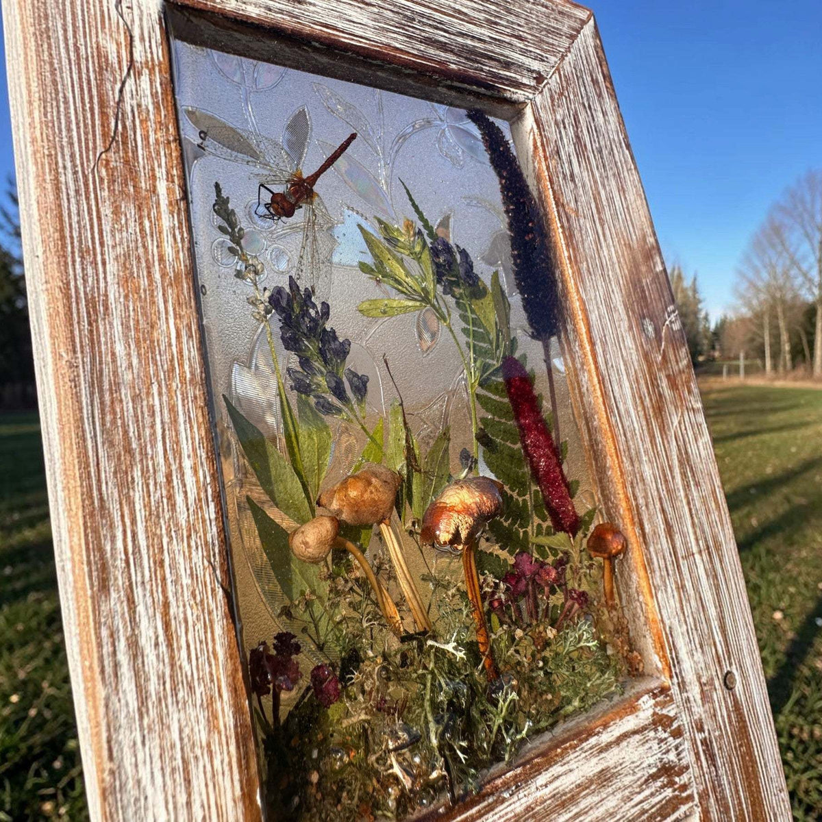 pressed flower window art in a distressed whitewashed wood frame, with translucent resin, colorful botanicals, mushrooms and a dragonfly