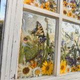 Pressed Flower Window Frame with real dried wildflowers, daisies, pansies, lavender, ferns, and ethically sourced swallowtail butterfly in white distressed wood frame