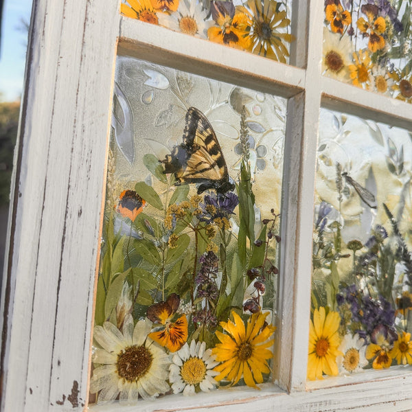 Pressed Flower Window Frame with real dried wildflowers, daisies, pansies, lavender, ferns, and ethically sourced swallowtail butterfly in white distressed wood frame