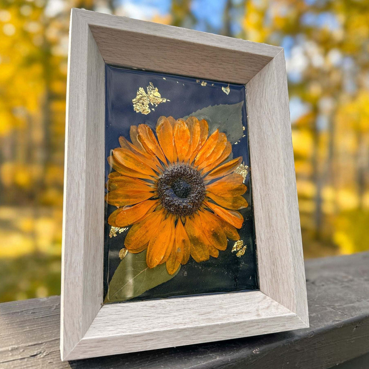 Pressed sunflower frame art with a dimensional orange bloom, green leaf, gold flecks on black, and a pale wood frame.