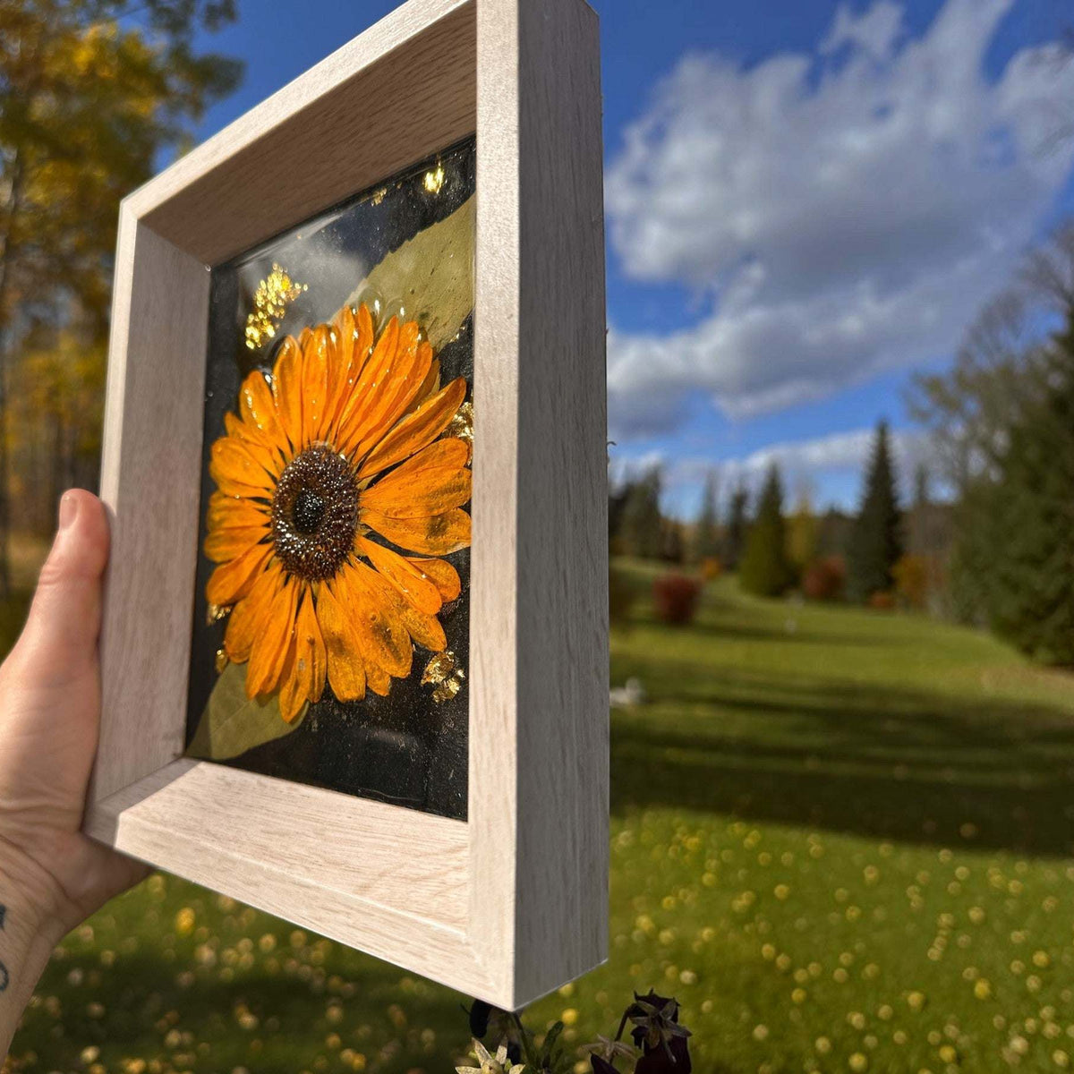 Pressed sunflower frame art with a three-dimensional orange bloom in a clear resin panel, black and gold details, and a pale wood frame.