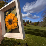 Pressed sunflower frame art with a dimensional orange bloom, dark seeded centre, green leaves and gold flecks in a pale wood frame.