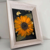 pressed sunflower frame art with a vivid orange three-dimensional bloom, green leaf and gold flecks on black in a pale wood frame